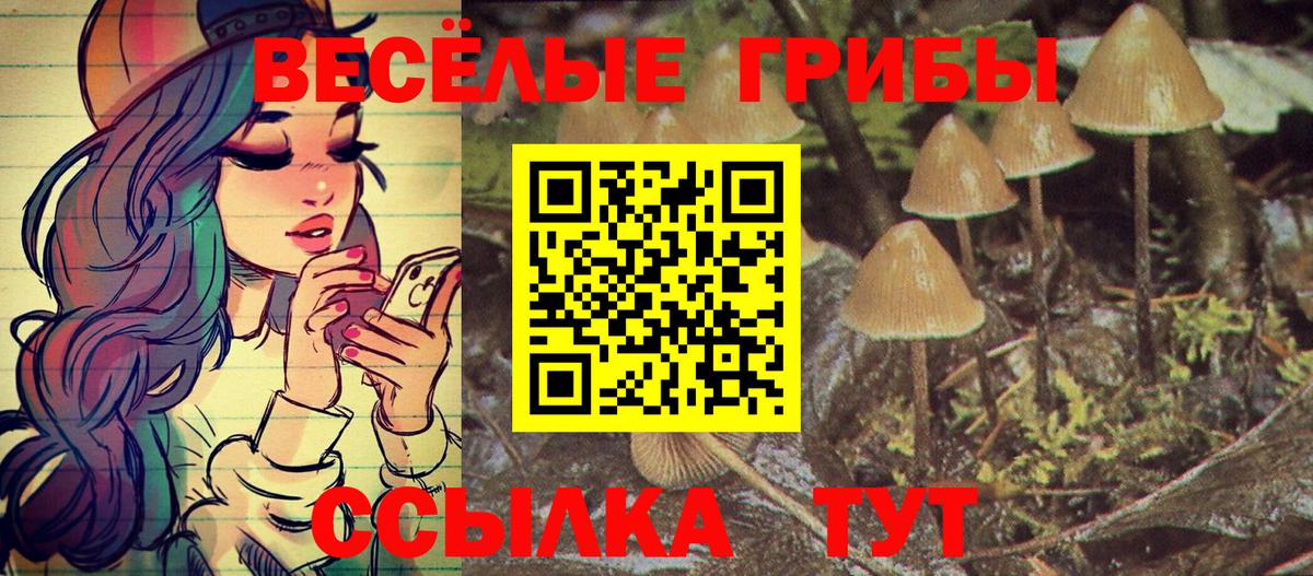 Псилоцибиновые грибы GOLDEN TEACHER Кандалакша