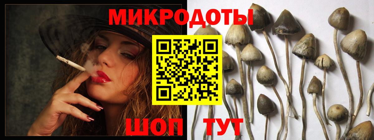 Галлюциногенные грибы мицелий  Вход с VPN  Кандалакша 